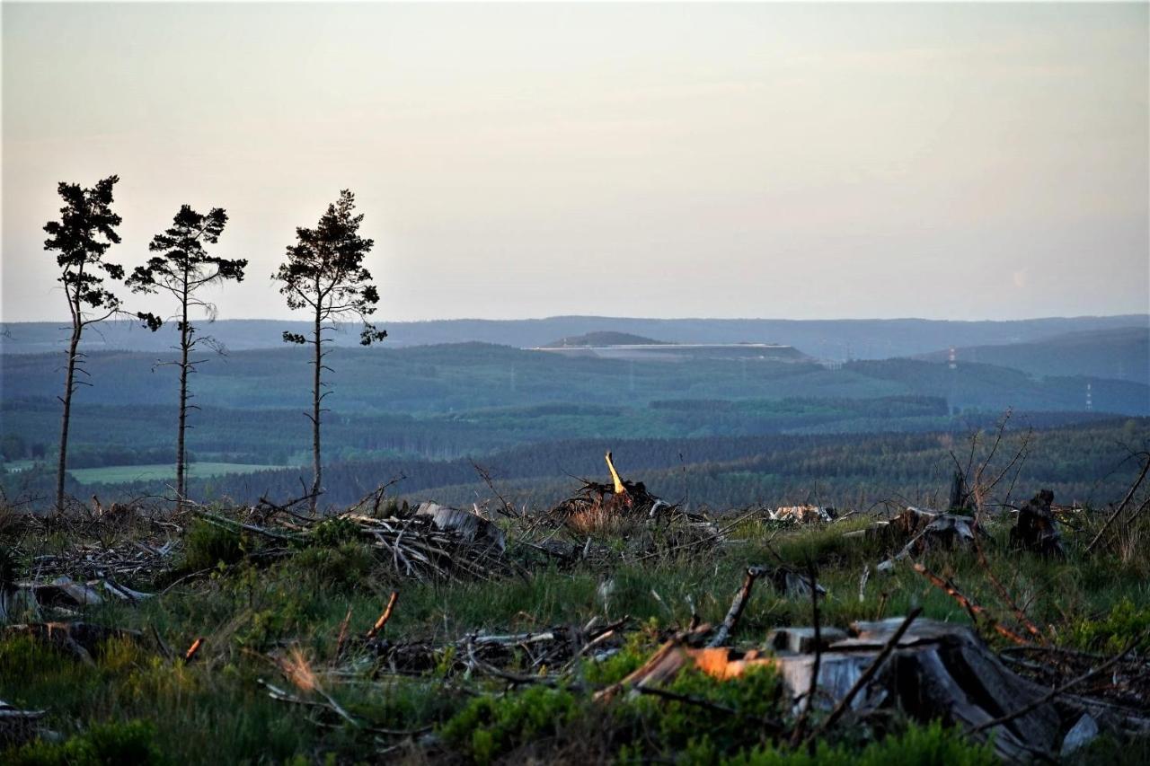 "Petite Perle En Haute Ardenne" Avec Vue Sur La Vallee, Cabine Infra-Rouge Et Bain Balneo Lierneux Exteriör bild