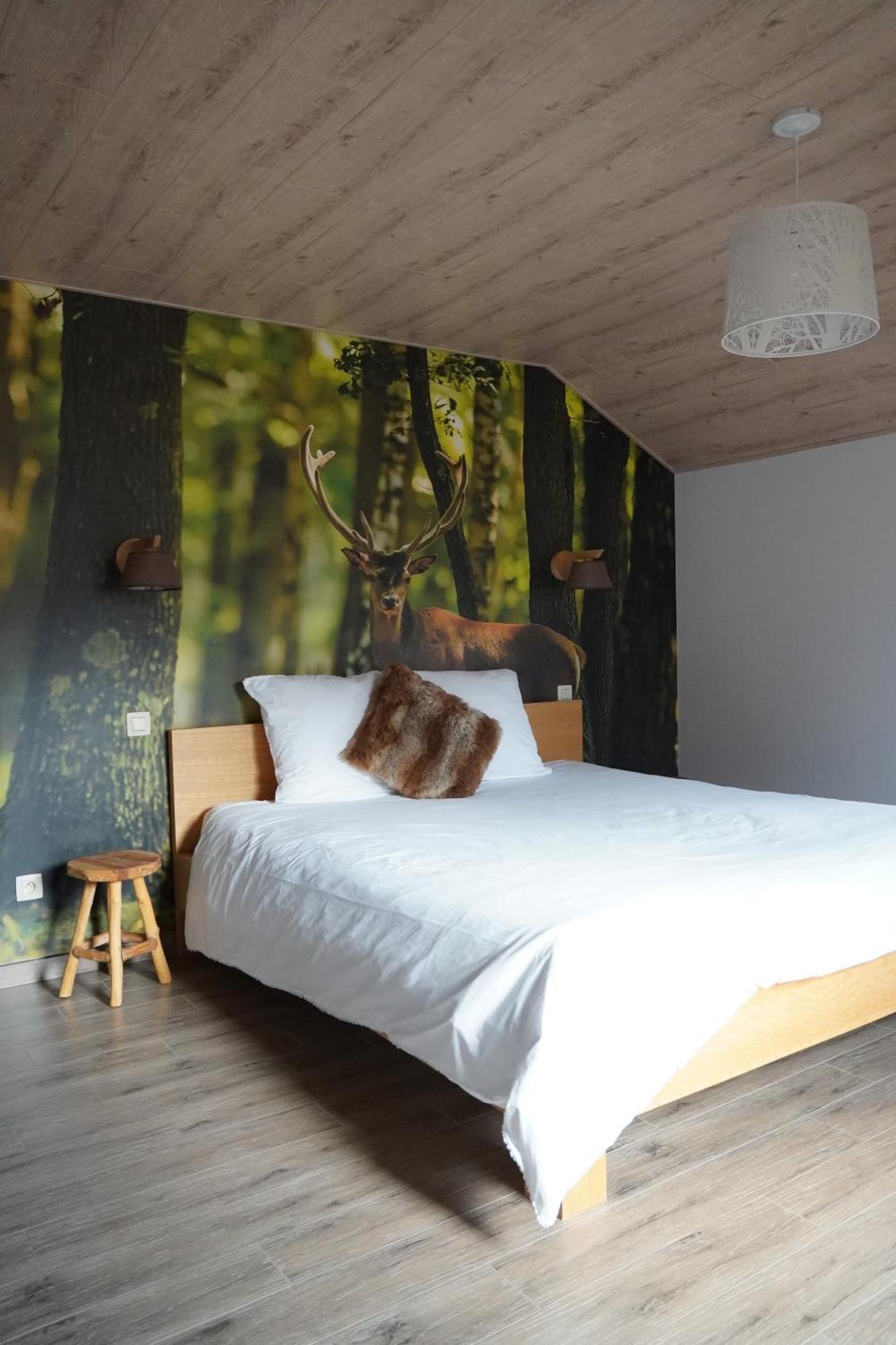 "Petite Perle En Haute Ardenne" Avec Vue Sur La Vallee, Cabine Infra-Rouge Et Bain Balneo Lierneux Exteriör bild